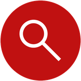 Magnifying glass icon for the preliminary check step